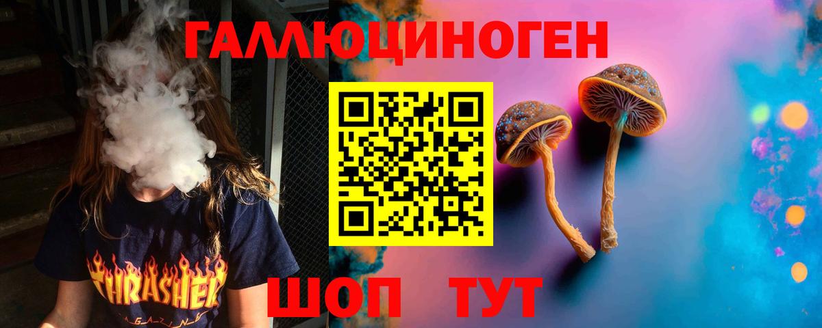 купить наркотик  Псилоцибиновые грибы GOLDEN TEACHER  Вход с VPN  Обнинск  Псилоцибиновые грибы Psilocybe 